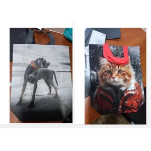 Изображение товара -  Сумка НОВ середня з малюнком 29*33см.,  уп.-25шт.