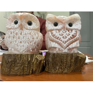 Изображение товара -  Світильник сольовий Сова